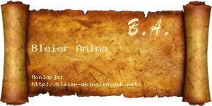 Bleier Anina névjegykártya
